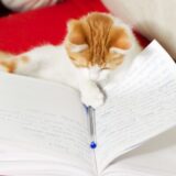 思考の見える化＆脳活目的で、手書きログをはじめました。