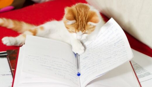 思考の見える化＆脳活目的で、手書きログをはじめました。